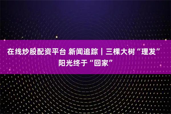 在线炒股配资平台 新闻追踪｜三棵大树“理发” 阳光终于“回家”